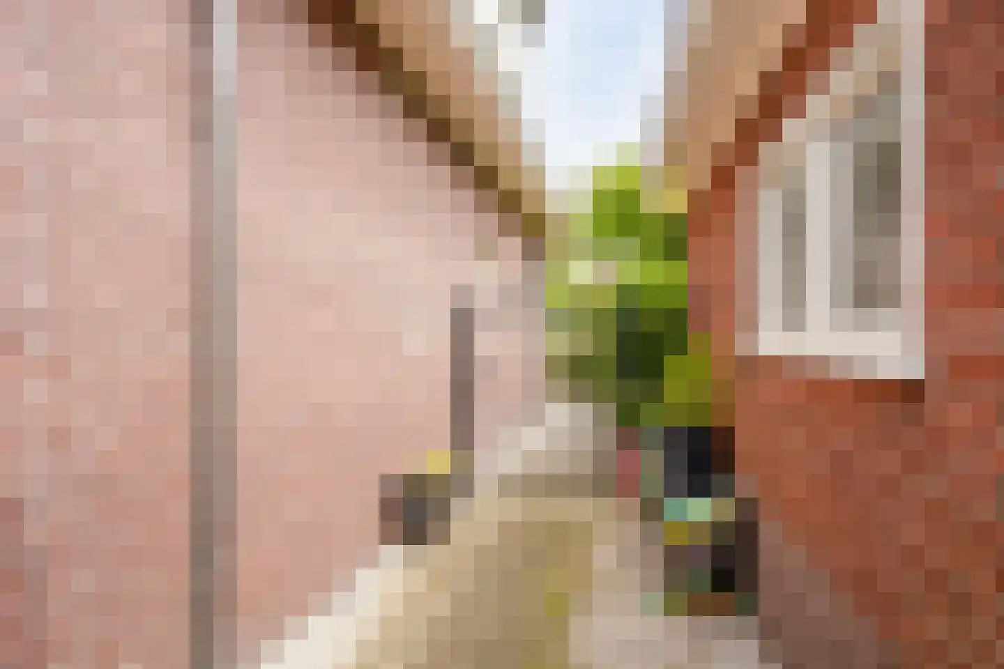 Laarmanstraat 2 Heiloo thumbnail 33