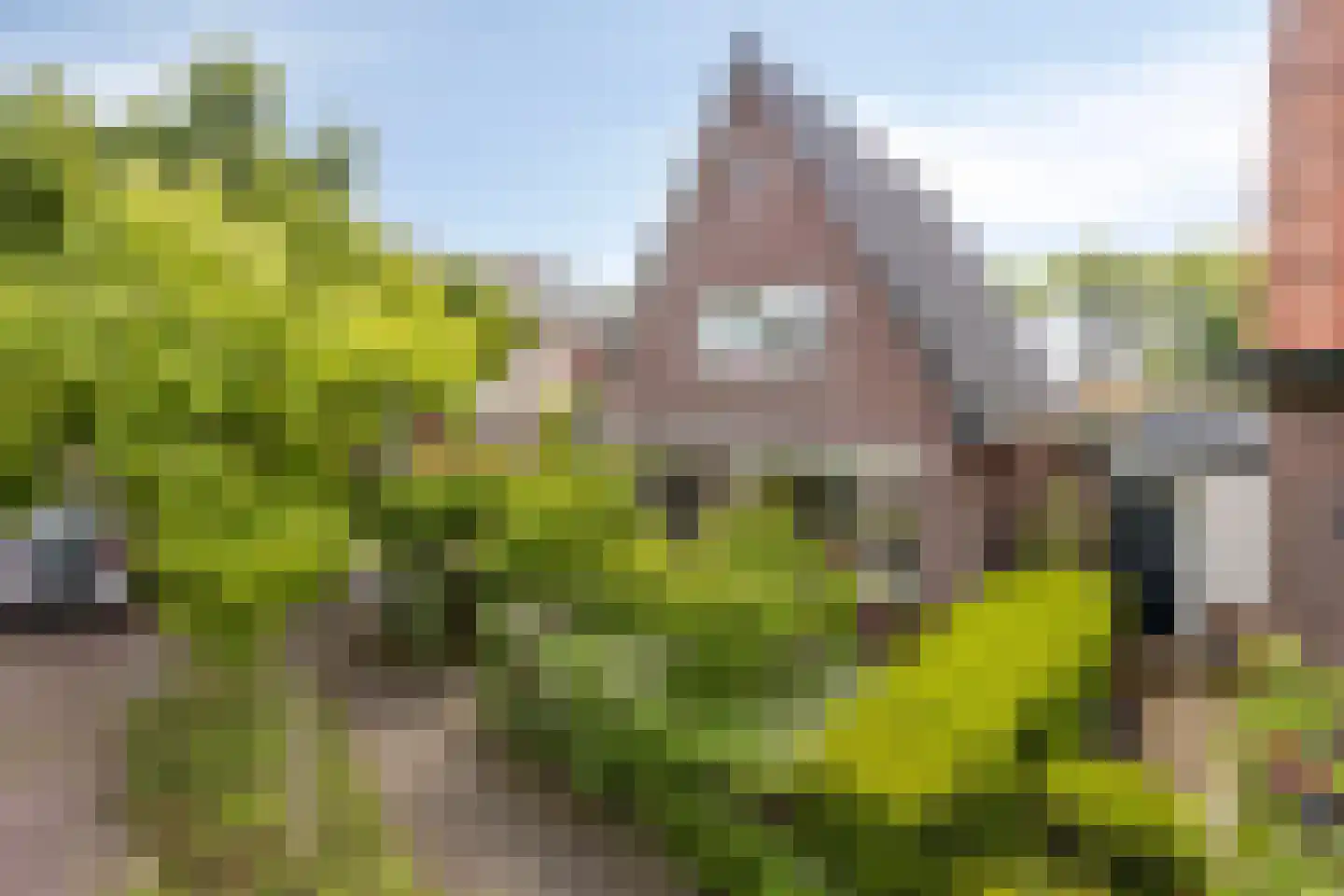Laarmanstraat 2 Heiloo thumbnail 34