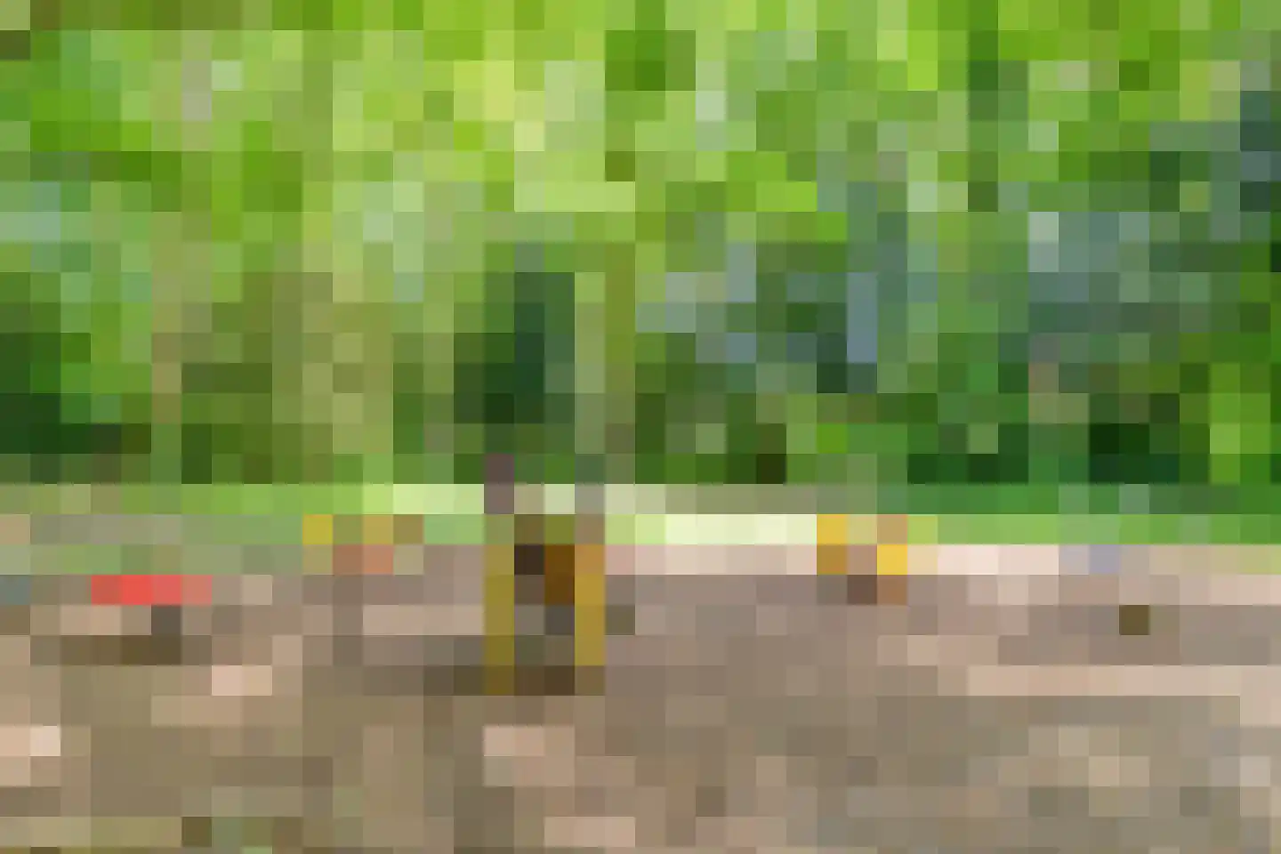 Laarmanstraat 2 Heiloo thumbnail 38