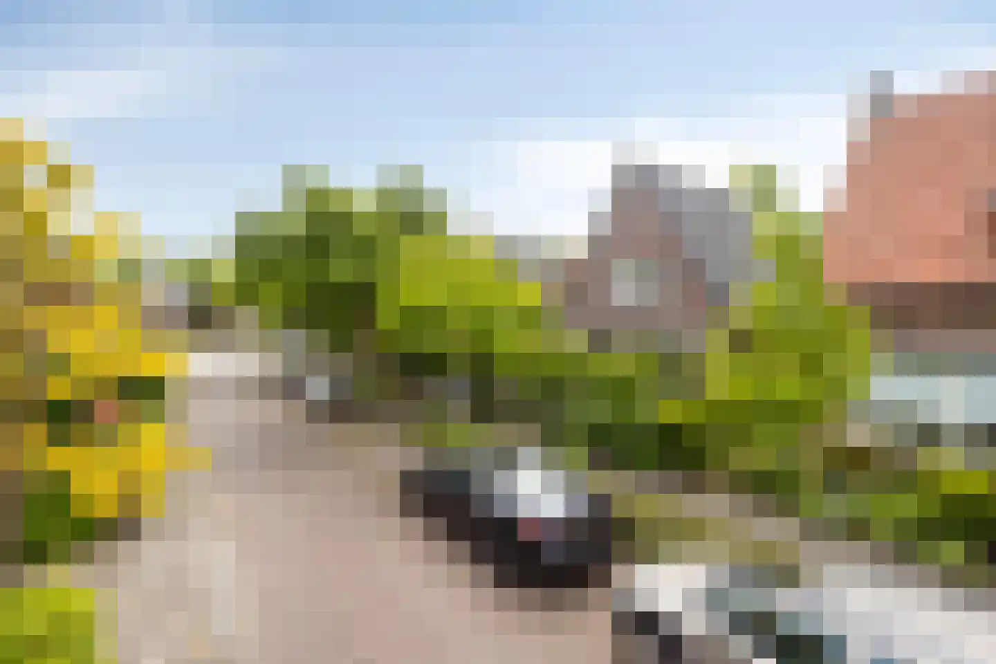 Laarmanstraat 2 Heiloo thumbnail 4