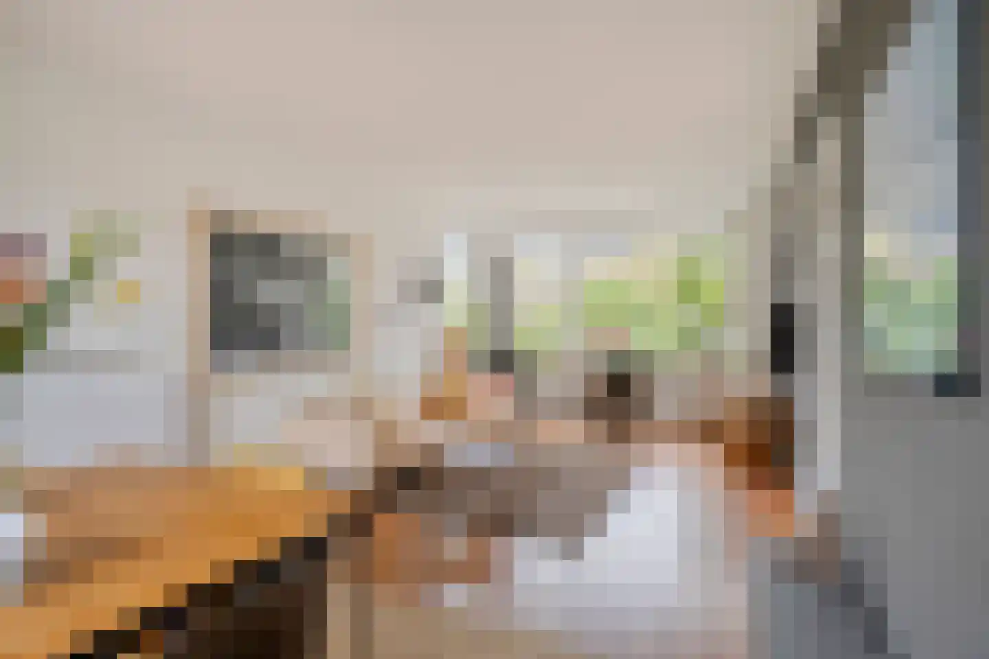 Laarmanstraat 2 Heiloo thumbnail 6