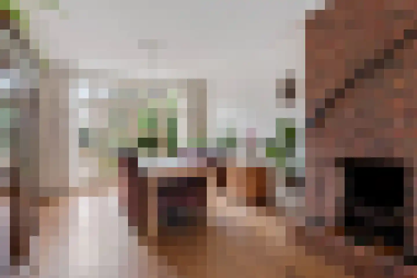 Laarmanstraat 27 Heiloo thumbnail 10