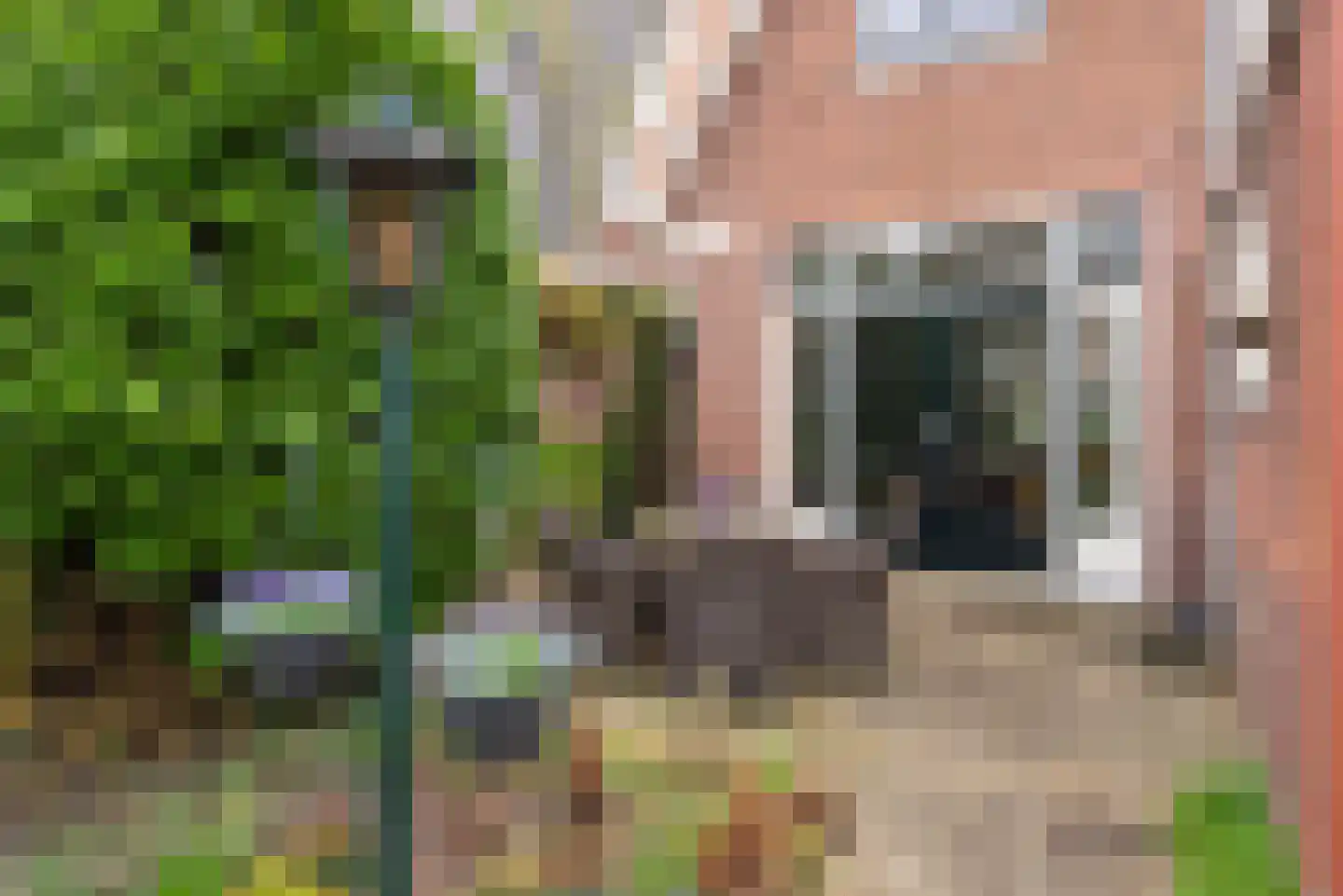 Laarmanstraat 27 Heiloo thumbnail 38
