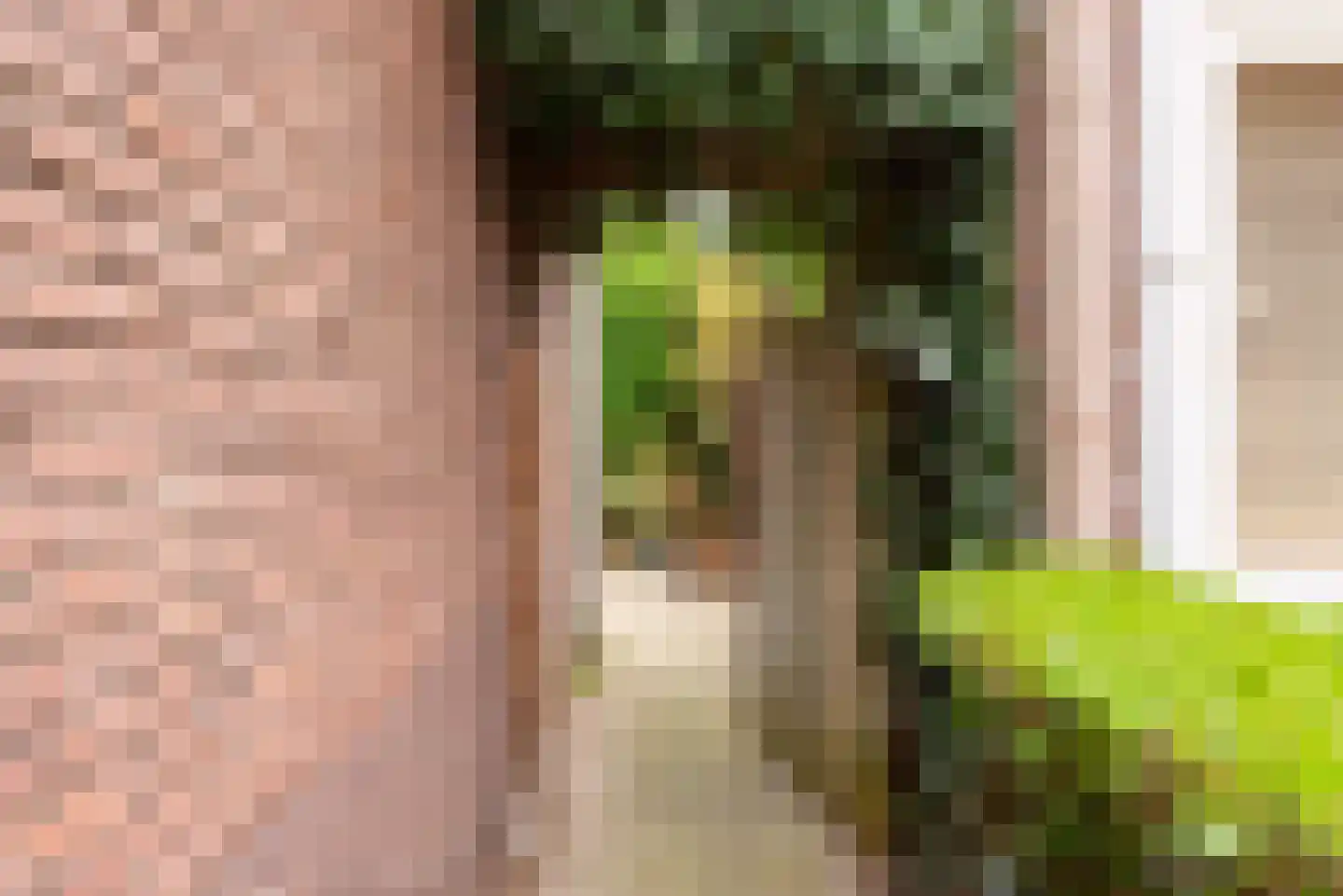 Laarmanstraat 27 Heiloo thumbnail 39