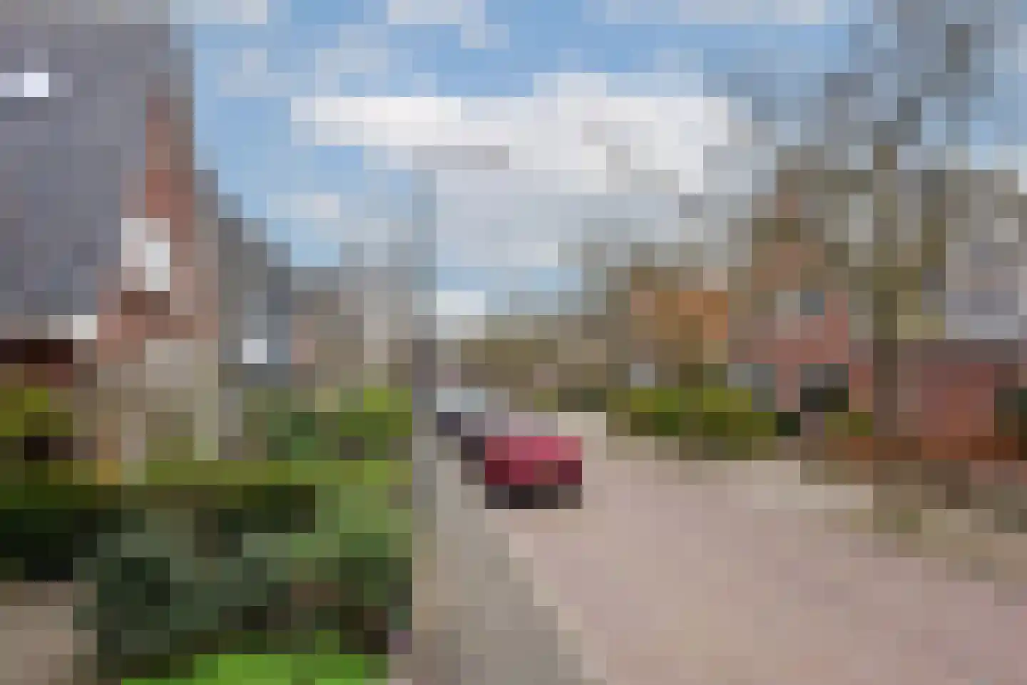 Laarmanstraat 27 Heiloo thumbnail 41