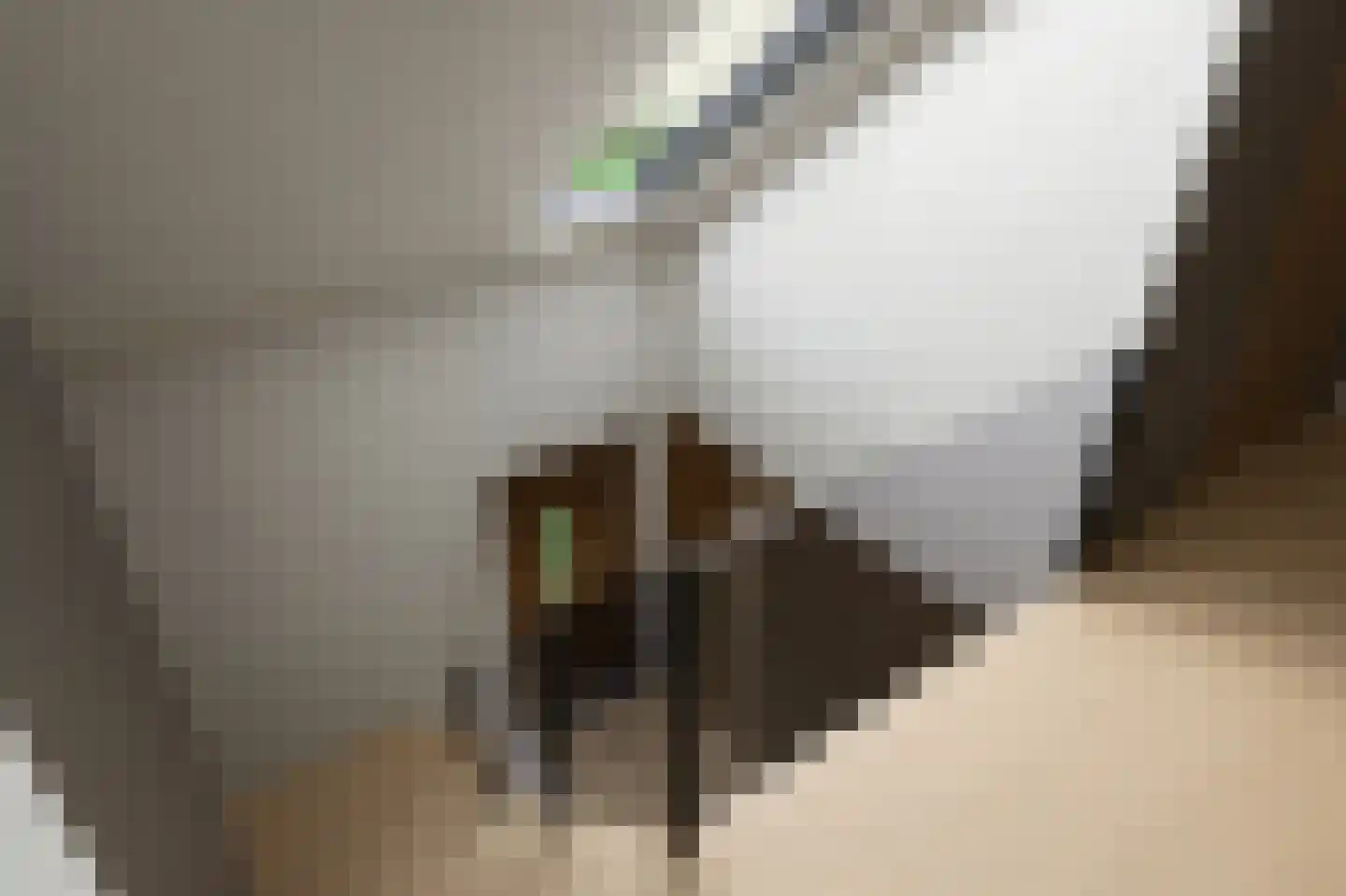 Laarpark 11 Zundert thumbnail 8