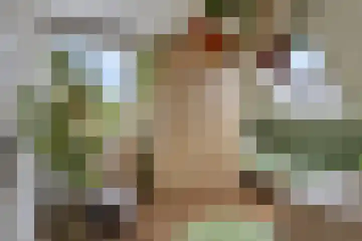 Laarpark 18 A Veghel thumbnail 27