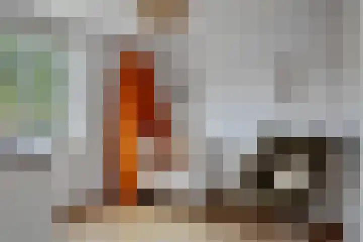 Laarpark 18 A Veghel thumbnail 34