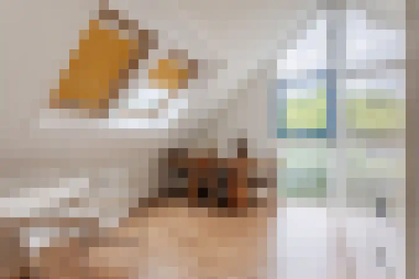 Laarpark 4 Veghel thumbnail 30