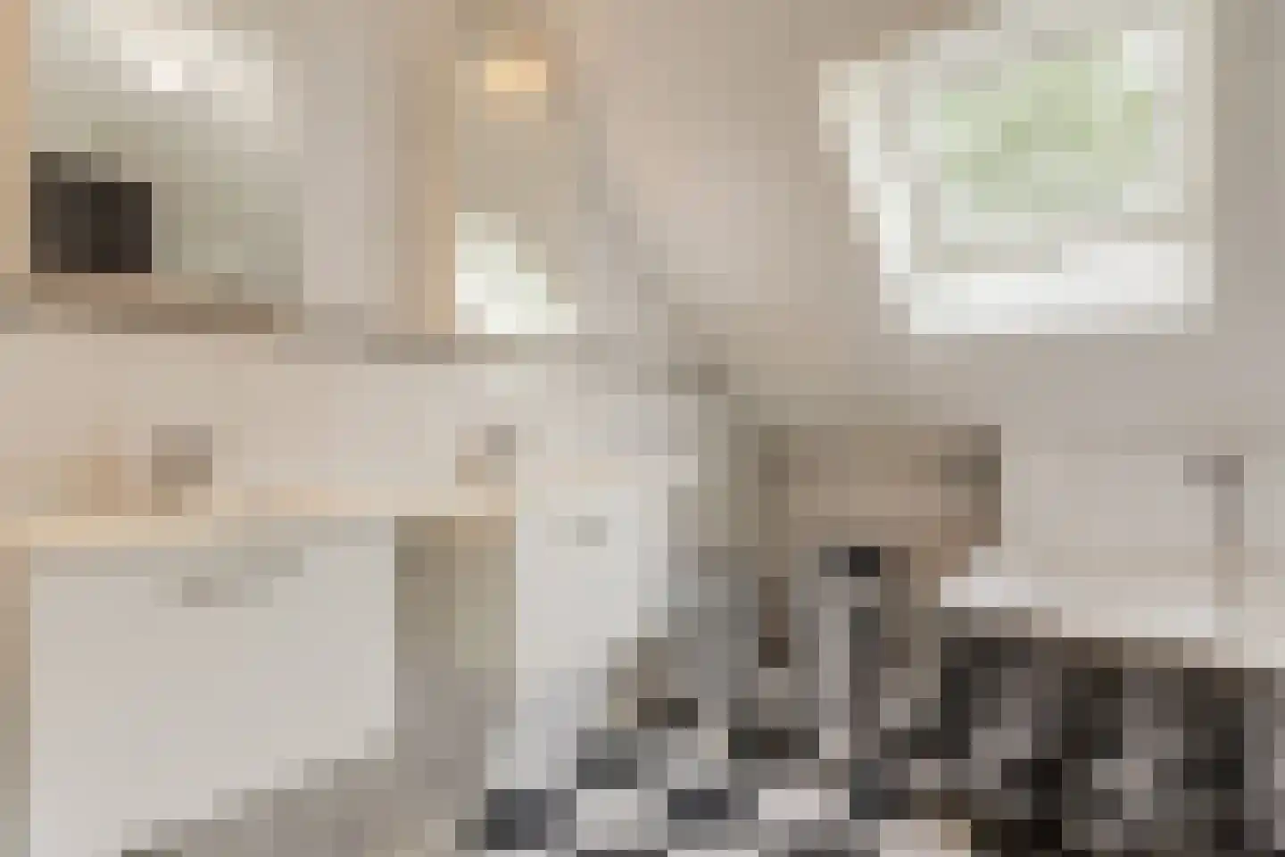 Laarpark 4 Veghel thumbnail 34