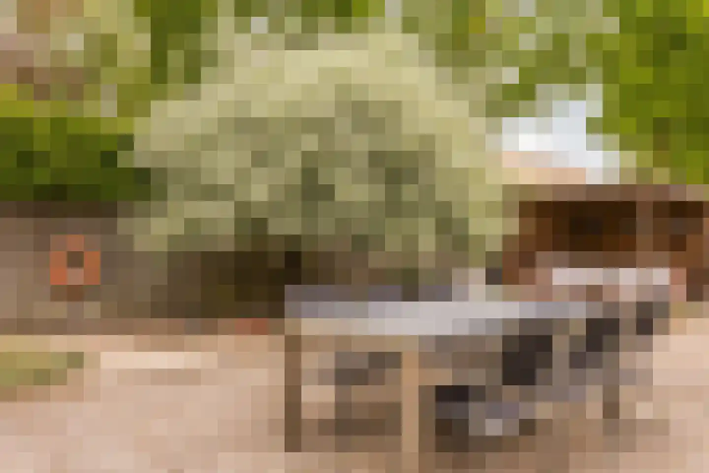 Laarpark 4 Veghel thumbnail 43