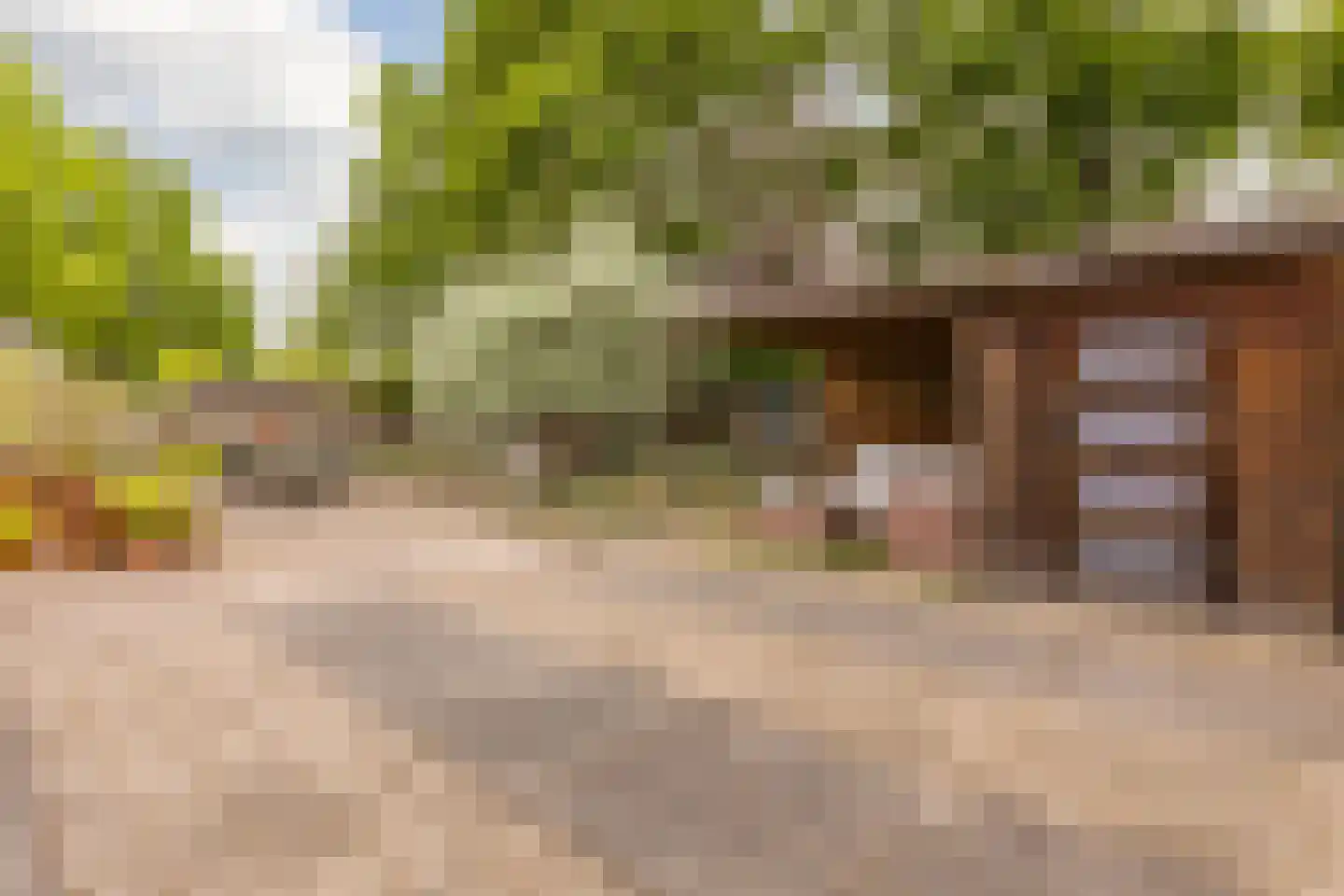 Laarpark 4 Veghel thumbnail 44