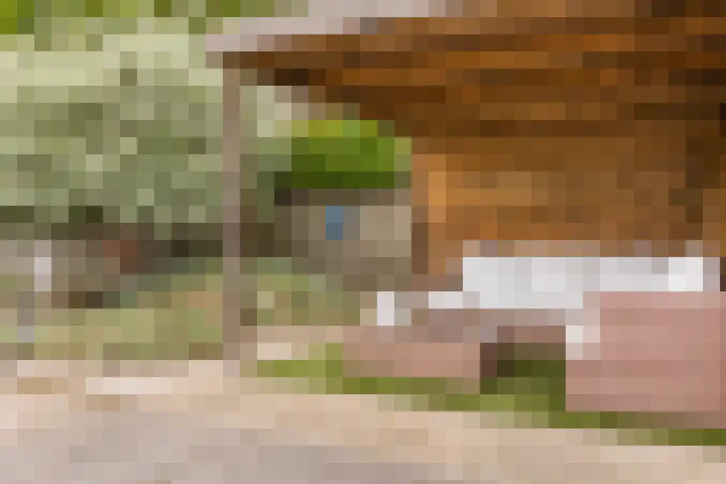 Laarpark 4 Veghel thumbnail 45