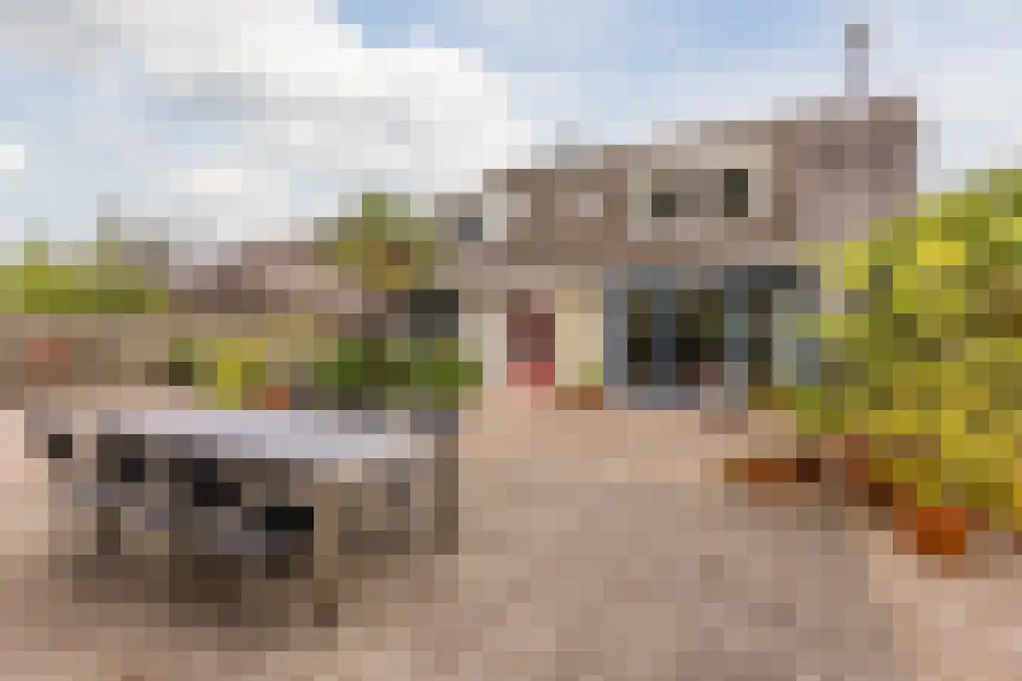 Laarpark 4 Veghel thumbnail 47