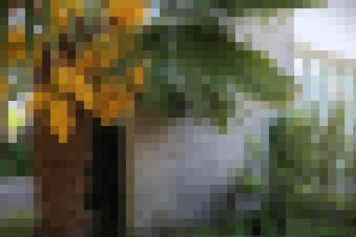Laarpark 4 Veghel thumbnail 51