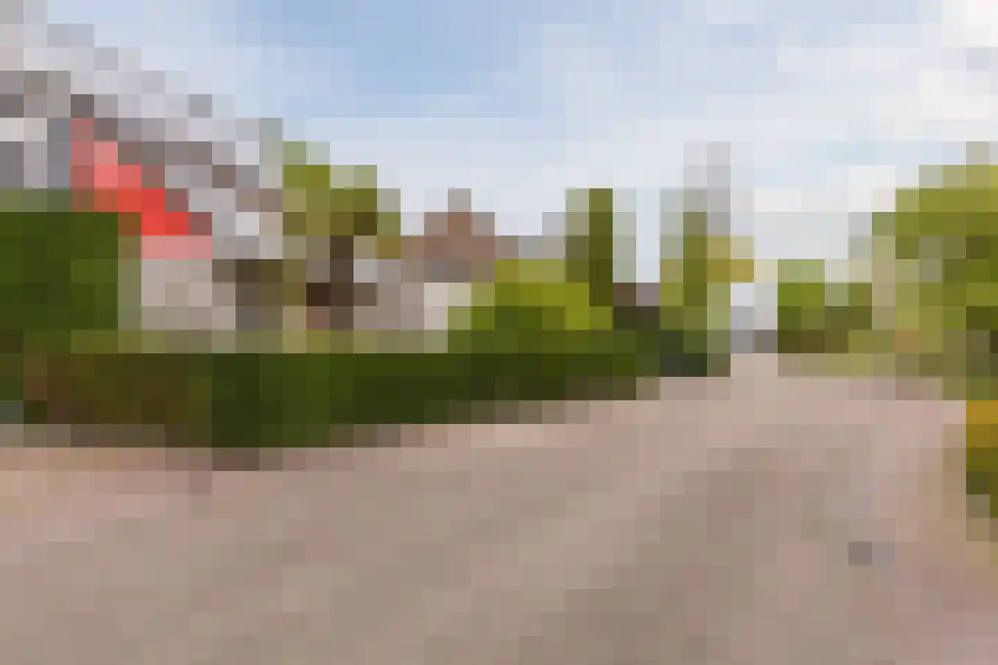 Laarpark 4 Veghel thumbnail 6