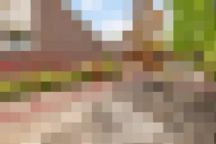 Laarpark 43 Veghel thumbnail 35