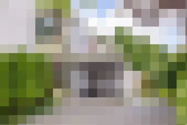 Laarpark 43 Veghel thumbnail 4