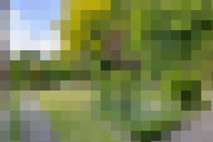 Laarpark 43 Veghel thumbnail 41