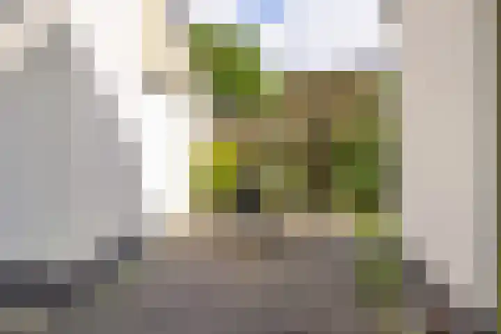 Laarpark 43 Veghel thumbnail 42