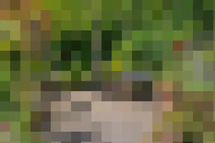 Laarpark 43 Veghel thumbnail 43