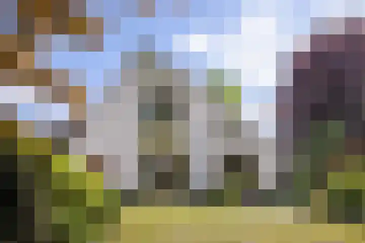 Laarpark 43 Veghel thumbnail 44