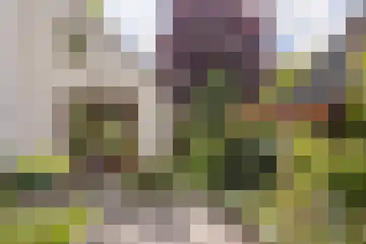 Laarpark 43 Veghel thumbnail 45