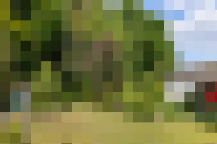 Laarpark 43 Veghel thumbnail 46