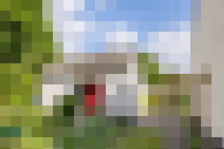 Laarpark 43 Veghel thumbnail 47