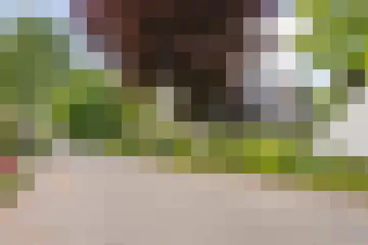 Laarpark 43 Veghel thumbnail 49