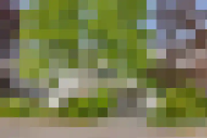 Laarpark 43 Veghel thumbnail 55