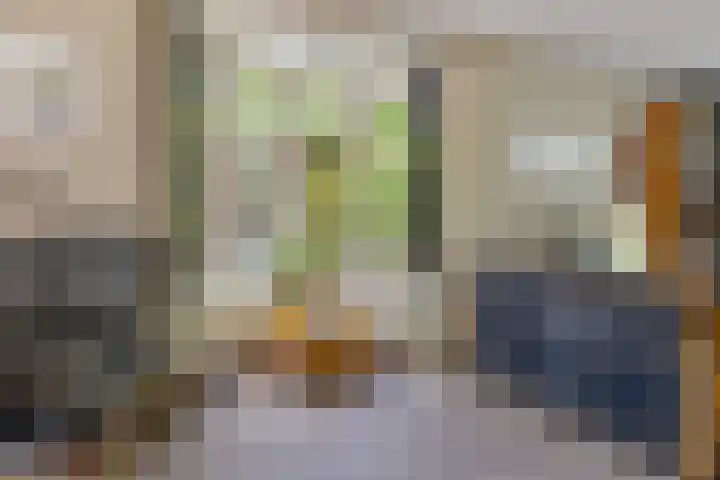 Laarpark 43 Veghel thumbnail 8