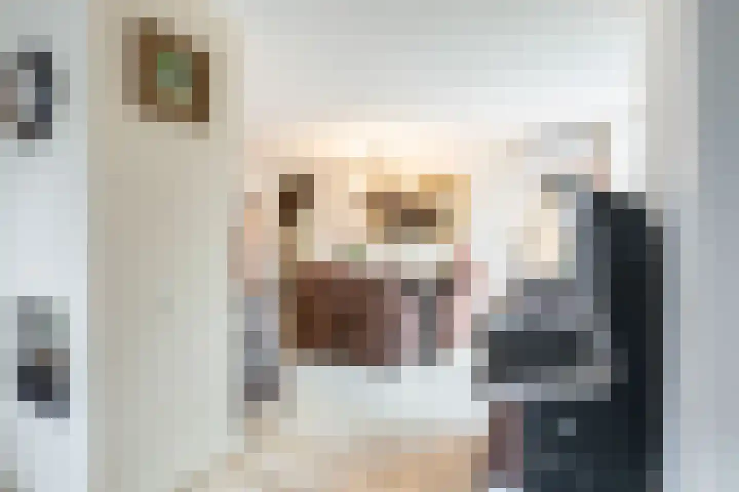 Laarstraat 10 Waalre thumbnail 13