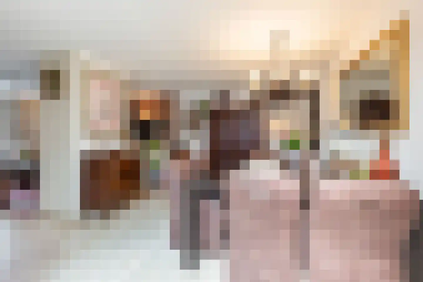 Laarstraat 10 Waalre thumbnail 15