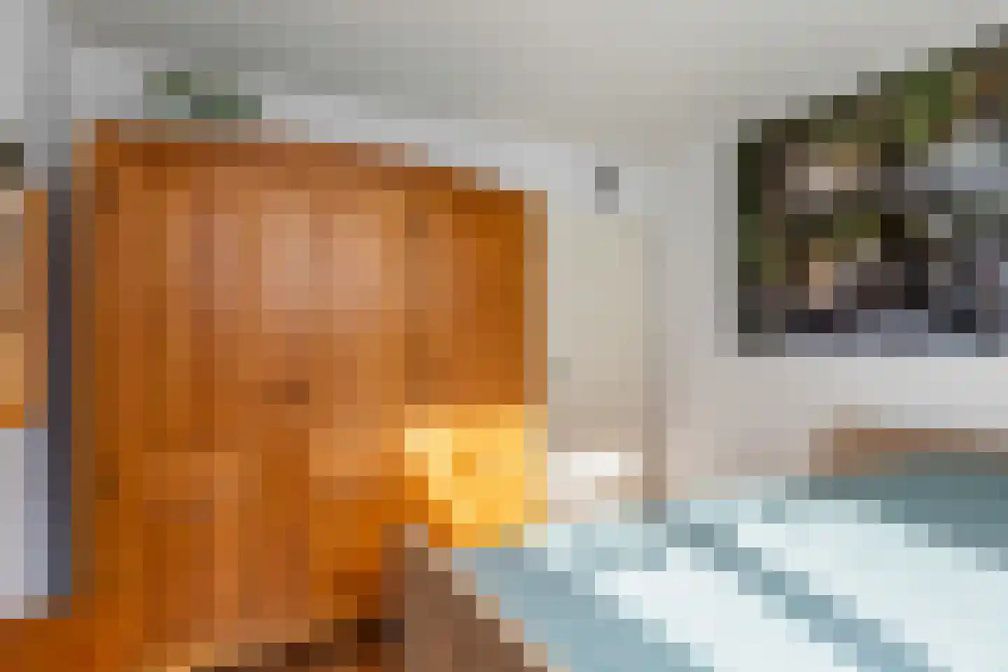 Laarstraat 10 Waalre thumbnail 25