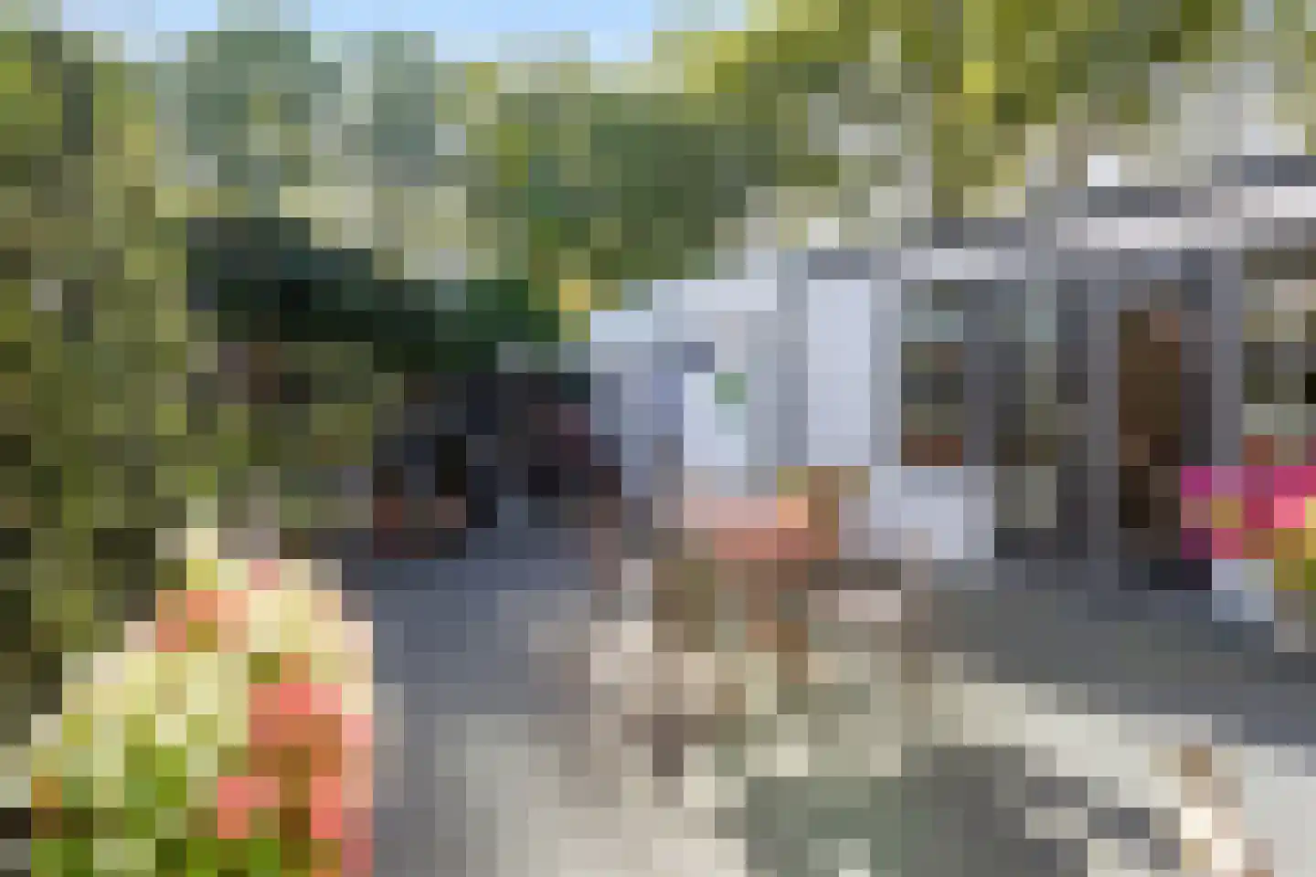 Laarstraat 10 Waalre thumbnail 32