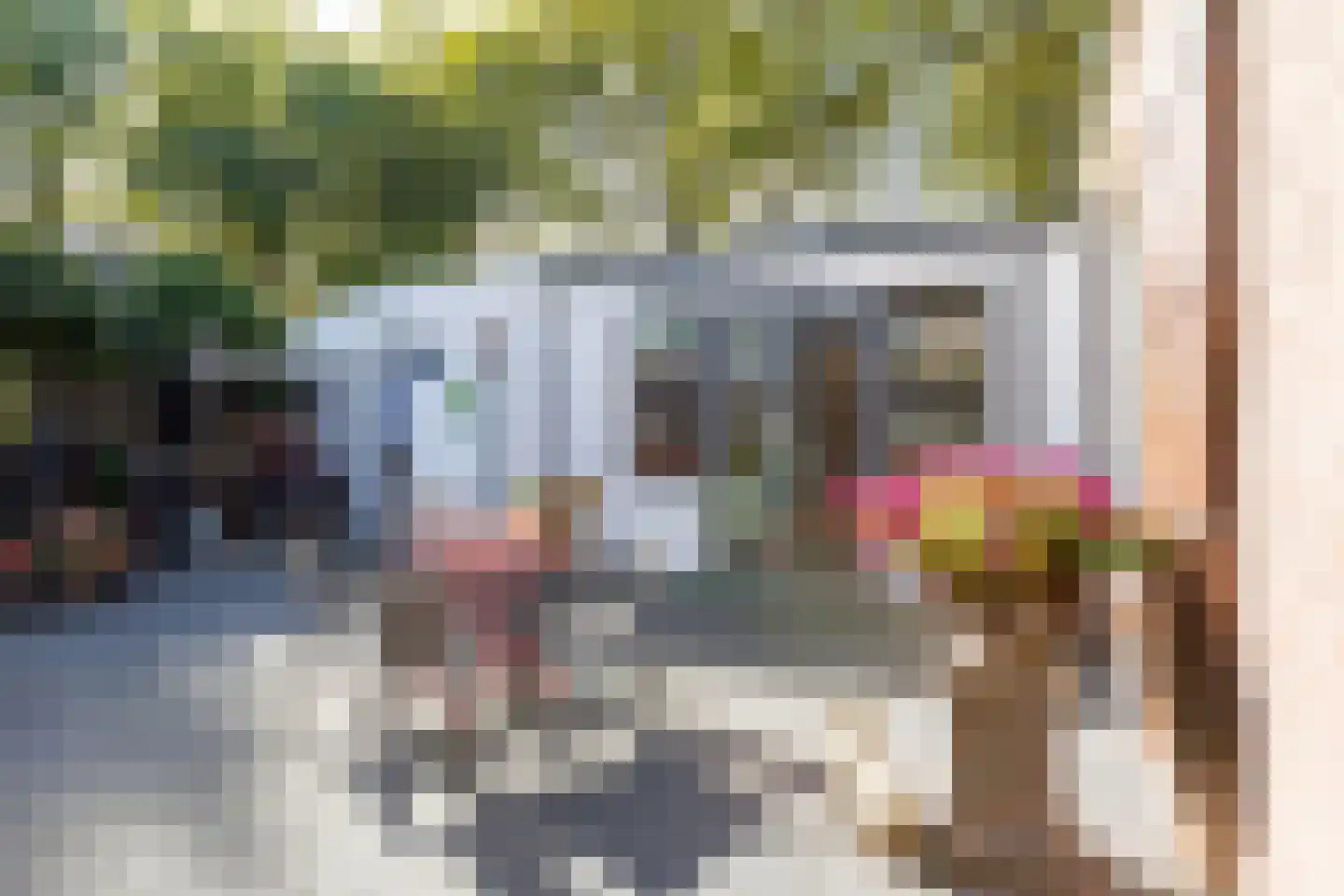 Laarstraat 10 Waalre thumbnail 33