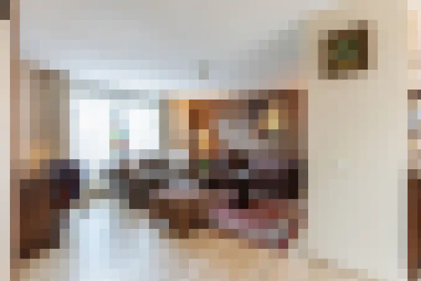 Laarstraat 10 Waalre thumbnail 4