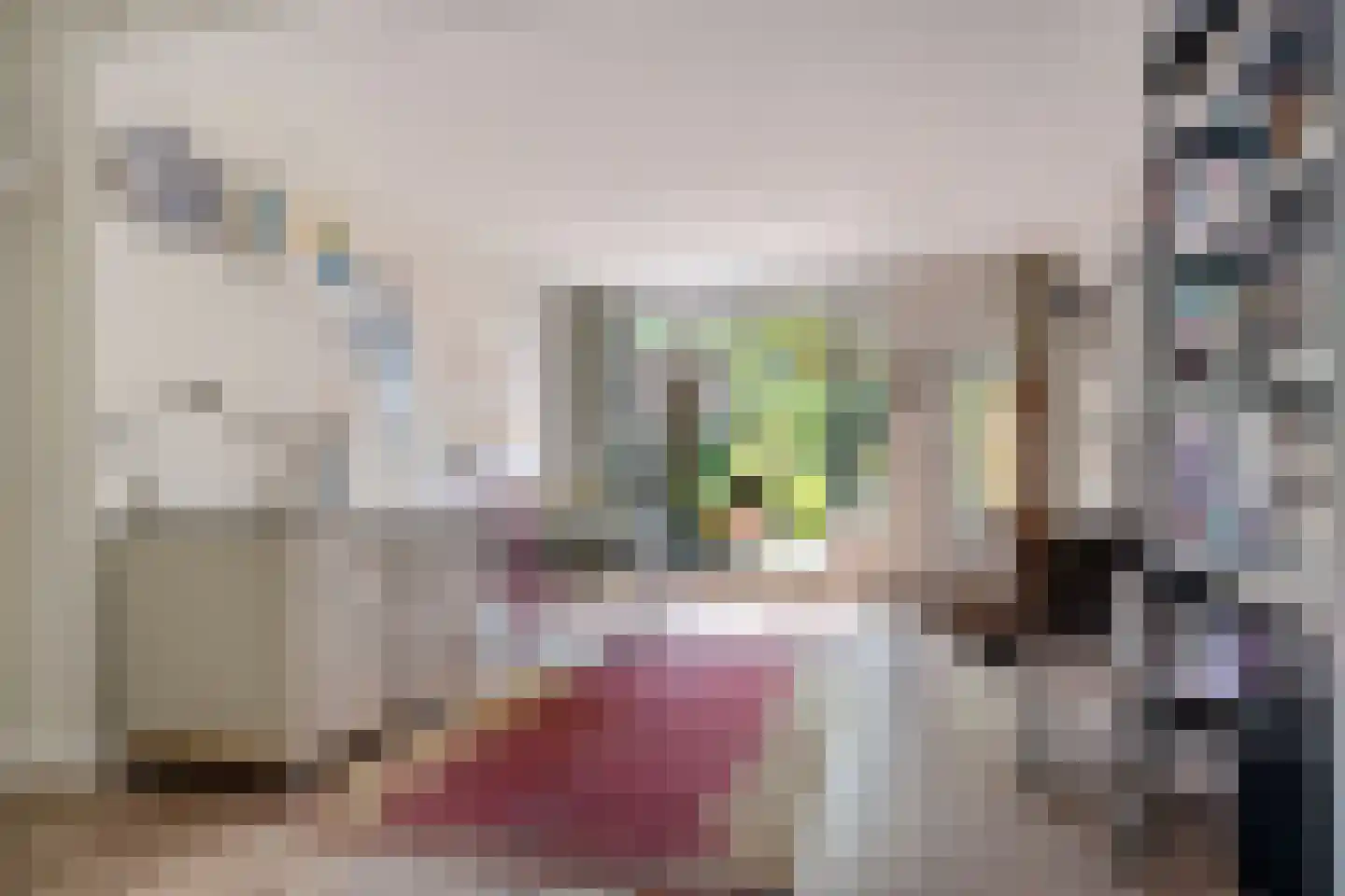 Laarstraat 100 Zutphen thumbnail 11