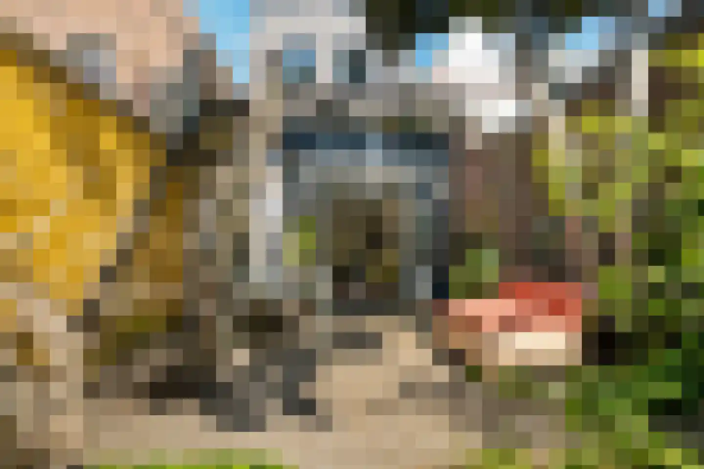 Laarstraat 100 Zutphen thumbnail 13