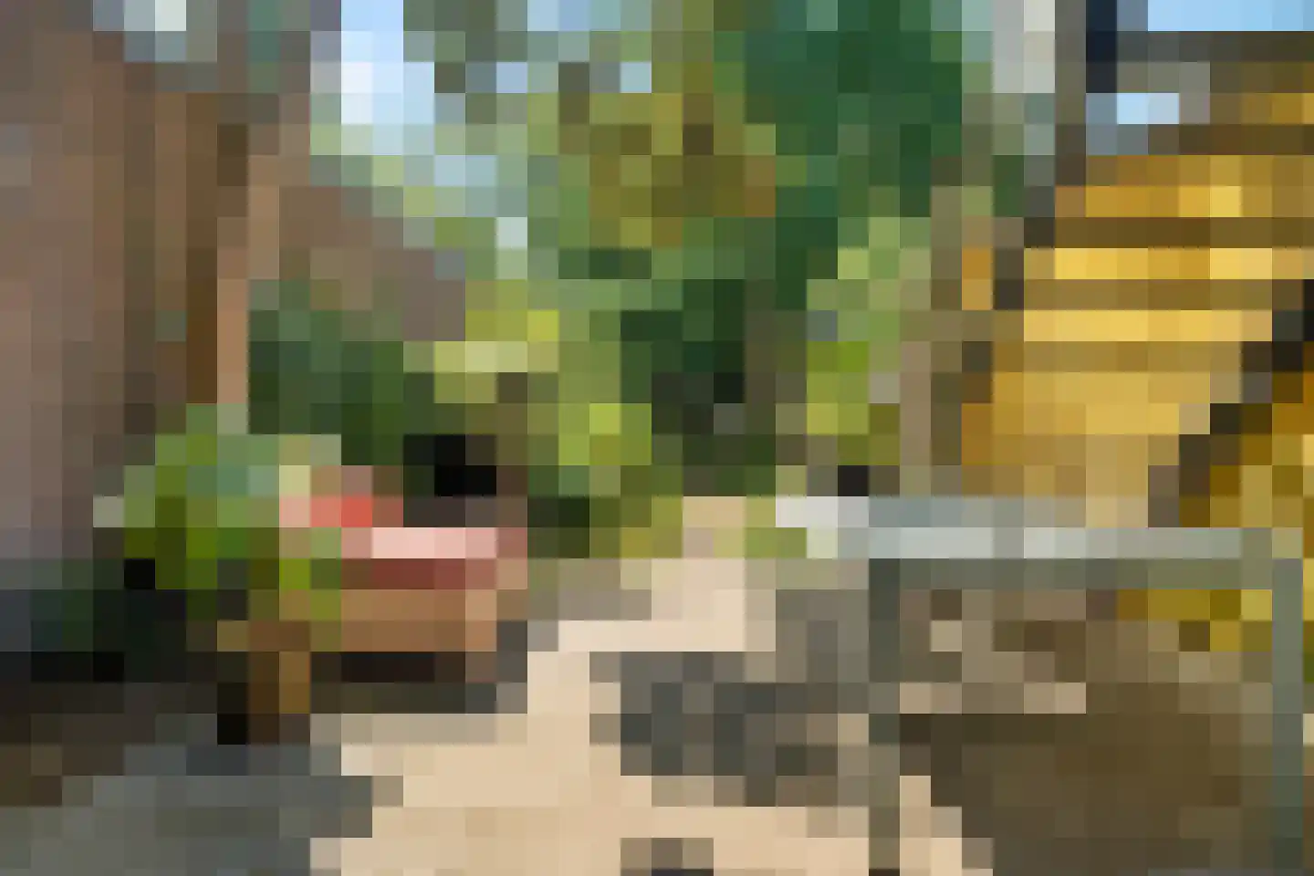 Laarstraat 100 Zutphen thumbnail 14