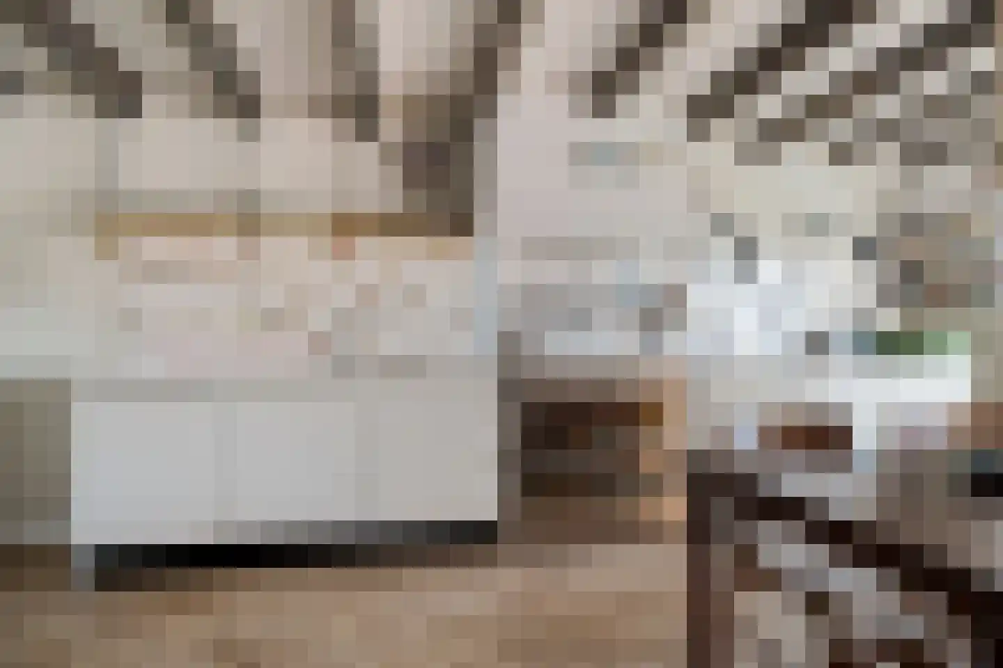 Laarstraat 100 Zutphen thumbnail 16