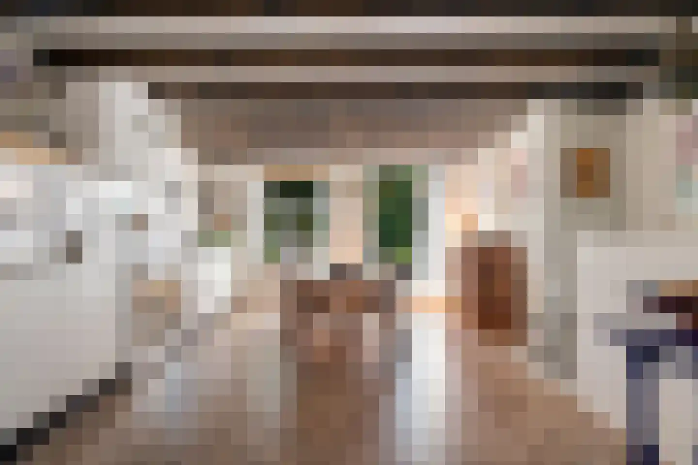 Laarstraat 100 Zutphen thumbnail 17