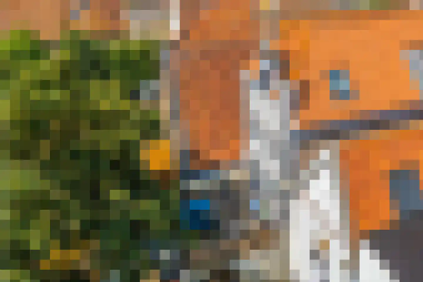 Laarstraat 100 Zutphen thumbnail 21