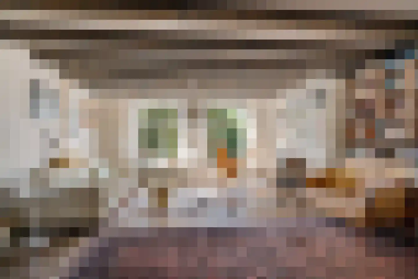 Laarstraat 100 Zutphen thumbnail 26