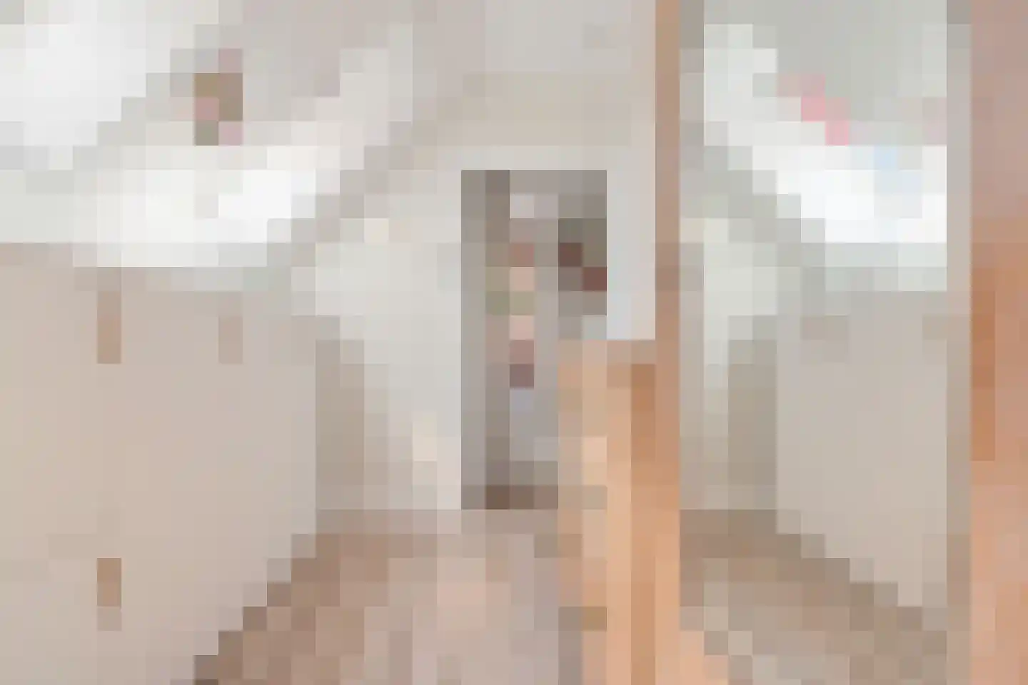 Laarstraat 100 Zutphen thumbnail 36