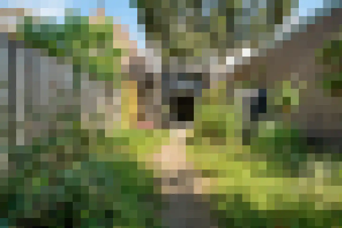 Laarstraat 100 Zutphen thumbnail 48