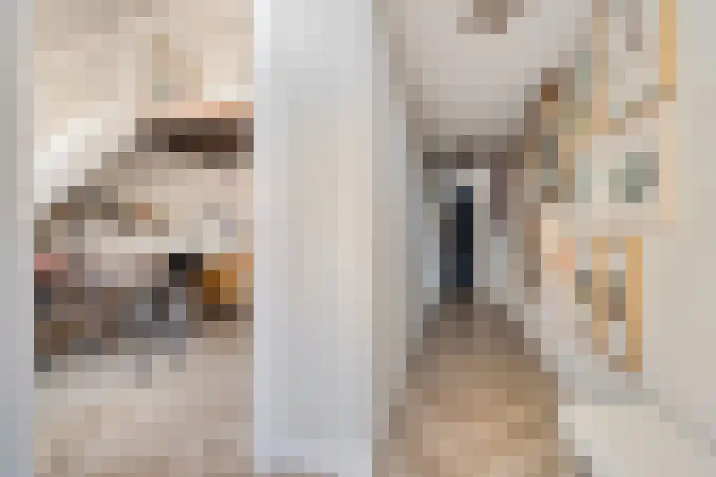 Laarstraat 100 Zutphen thumbnail 6