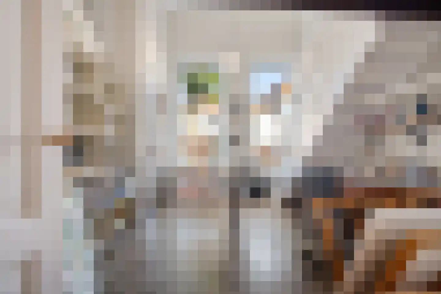 Laarstraat 100 Zutphen thumbnail 8