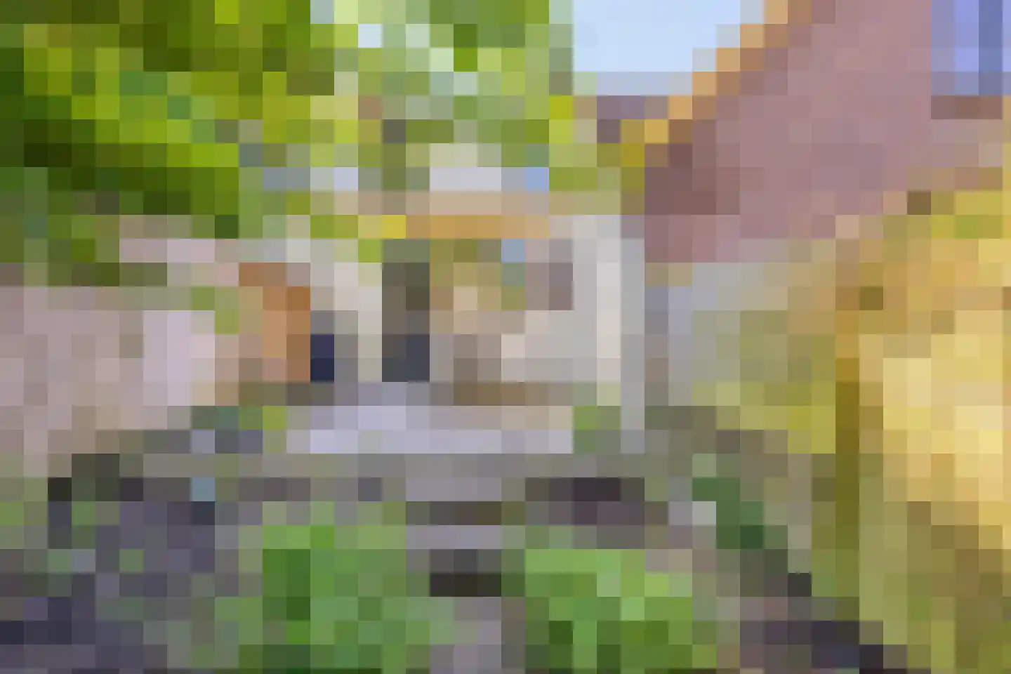 Laarstraat 109 Zutphen thumbnail 17